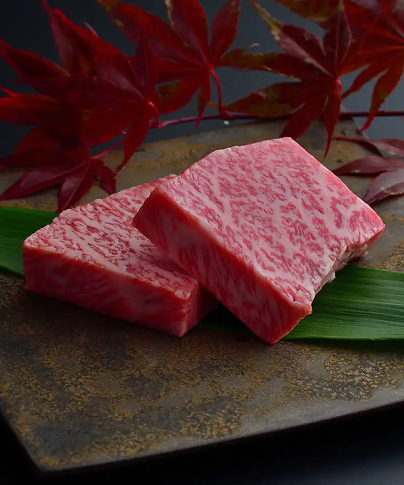 厳選飛騨牛 選べる会席プレミアム イメージ