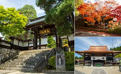 東山寺院群
