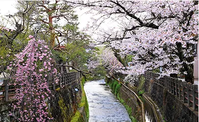 Along the Enako River